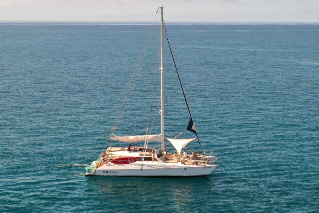 Catamaran esnautica