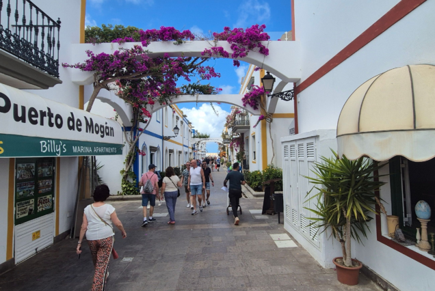 Paseo en Puerto de Mogán con turistas caminando por una calle adornada con flores y edificios coloridos, ideal para un viaje de avistamiento de delfines.